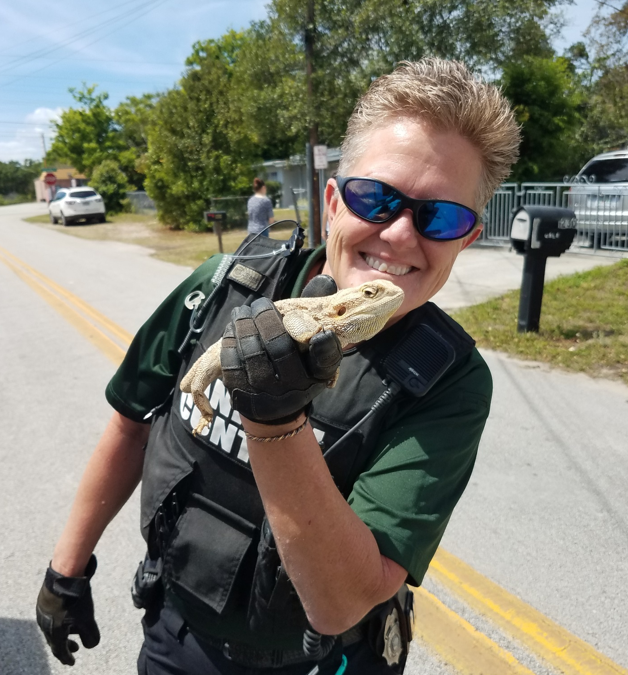 NACA 2019 Photo Contest Results