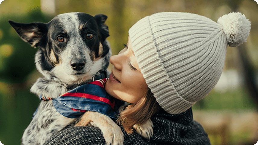 The Pet Care Companion: Your Guide to Happy and Healthy Pets