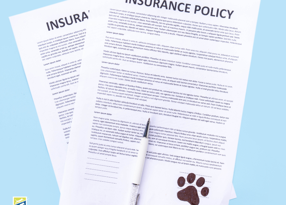 Why Insurance Matters in Animal Services