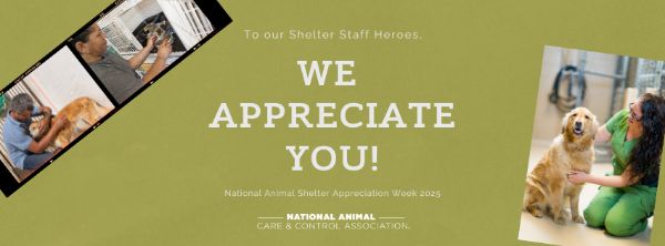 2025 ANIMAL SHELTER  APPRECIATION WEEK  AWARD WINNERS